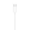 Apple EarPods (USB-C)