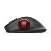 Mouse wireless si bluetooth cu trackball Delux MT1 negru