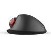 Mouse wireless si bluetooth cu trackball Delux MT1 negru