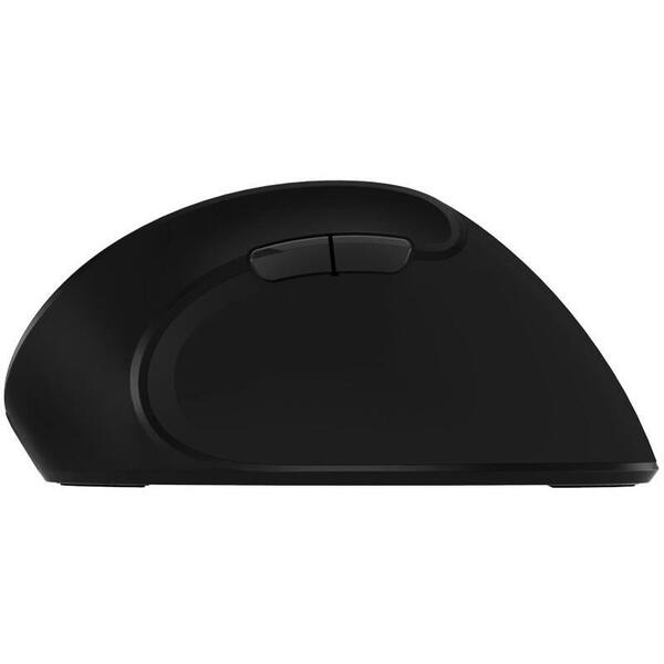 Mouse wireless Delux M618SE negru