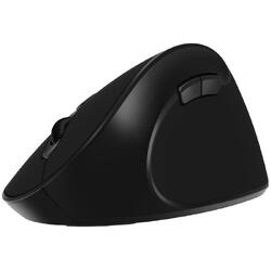 Mouse wireless Delux M618SE negru