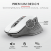 Mouse Trust Ozaa, Rechargeable Wireless, alb