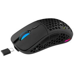 Mouse AQIRYS T.G.A, wireless, 6 butoane, interfata USB 2.0