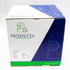 PROSPECTA Cablu FTP CAT 5E 4x2xAWG24, cupru 100%, cod: H0107/E/W, pentru retelistica (pana la 100MHz), numar perechi: 4 twisted, ecranare: folie aluminiu laminata, diametrul conductorului: 0.51mm, material PVC, culoare gri, diametru exterior 5.8mm, Conductor Loop R