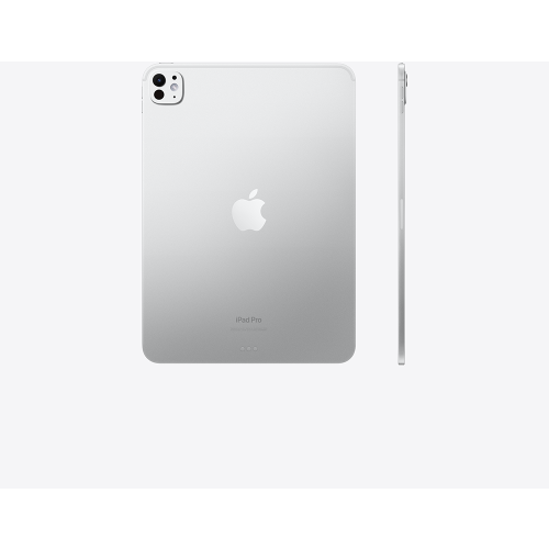Apple 11-inch iPad Pro (M4) WiFi 2TB with Standard glass - Silver