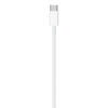 Apple USB-C to Lightning Cable (1m)