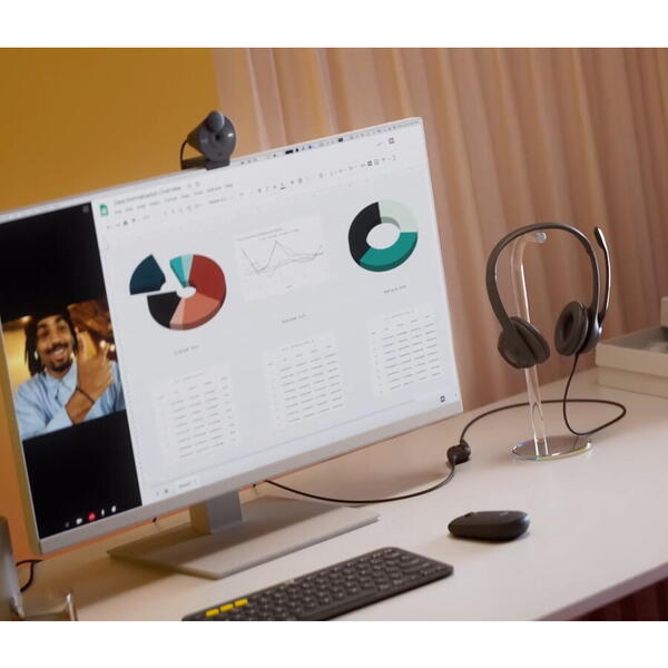 LOGITECH H390 USB COMPUTER HEADSET