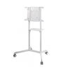Stand mobil de podea, Neomounts by Newstar NS-M1250WHITE, 37"-70", VESA max. 600x400, suporta pana la 70kg, inclinatie 5°, rotatie 90°, alb