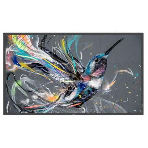 Monitor Signage Philips 50" Q-Line; 18/7, 4K UHD, basic failover, USB auto play, CMND &Control, Smart Player, LAN