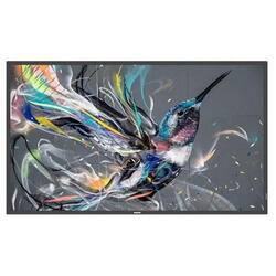 Monitor Signage Philips 50" Q-Line; 18/7, 4K UHD, basic failover, USB auto play, CMND &Control, Smart Player, LAN