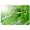 Mousepad Esperanza EA133 modele diferite
