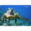 Mousepad Esperanza EA133 modele diferite
