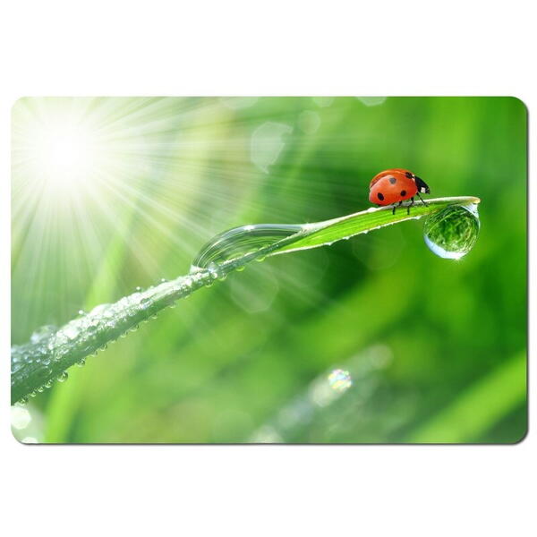 Mousepad Esperanza EA133 modele diferite
