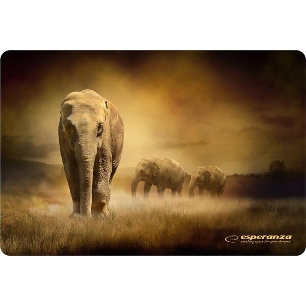 Mousepad Esperanza EA133 modele diferite