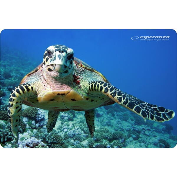 Mousepad Esperanza EA133 modele diferite