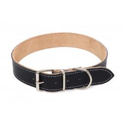 Zgarda din piele pentru caini, Global Pet, 3 X 65 CM