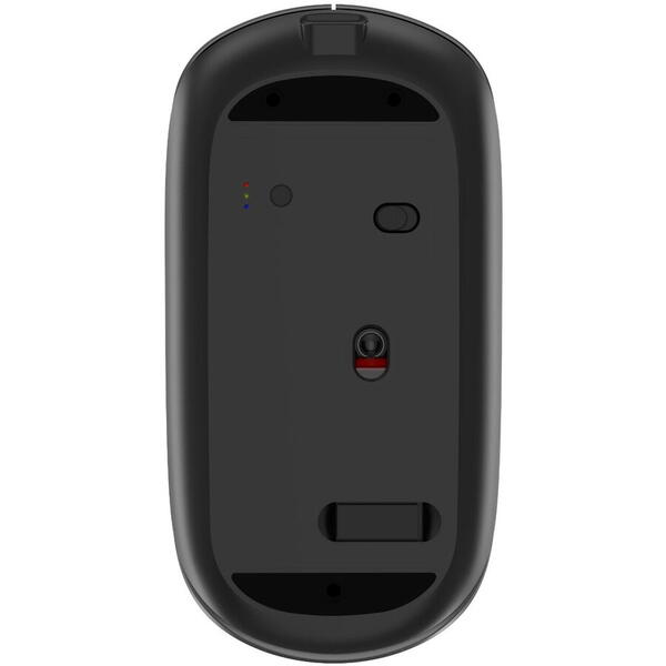 Devia Mouse Lingo Series Wireless, 2.4G Dual Mode, Gri