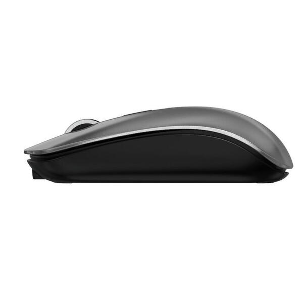 Devia Mouse Lingo Series Wireless, 2.4G Dual Mode, Gri