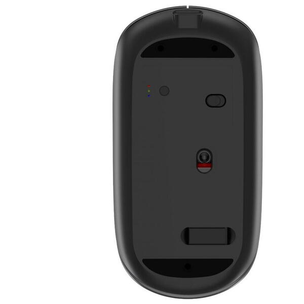 Devia Mouse Lingo Series Wireless, 2.4G Dual Mode, Gri