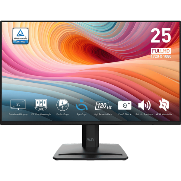 MSI Pro MP252 E2 computer monitor