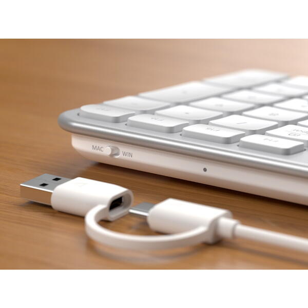 Satechi Slim LX3 Wired Keyboard - US English - Silver