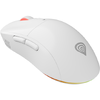 Mouse Genesis WS Zircon 3 26000 DPI alb