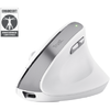 Mouse OfficeTrust Bayo II