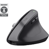 Mouse OfficeTrust Bayo+