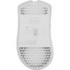 Mouse Genesis WS Zircon 880 PRO 8K/8K al