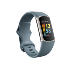 Fitbit Charge 5 Steel Blue/Platinum Stainless Steel